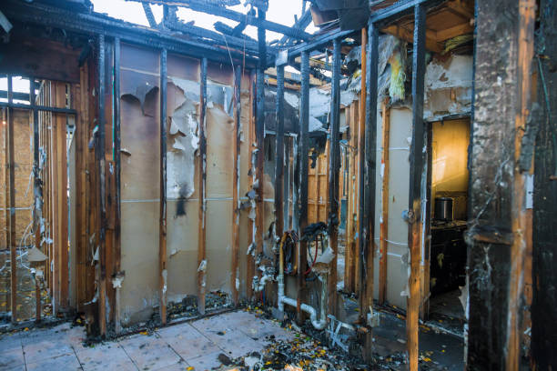 Professional Odor Removal technician working in Bedford, TX