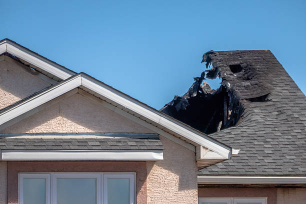 Top rated local Odor Removal specialists in Bedford, TX